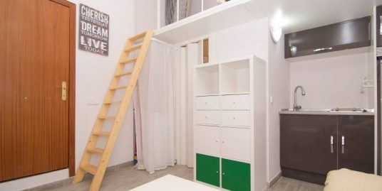 马德里市中心经凑型单人公寓