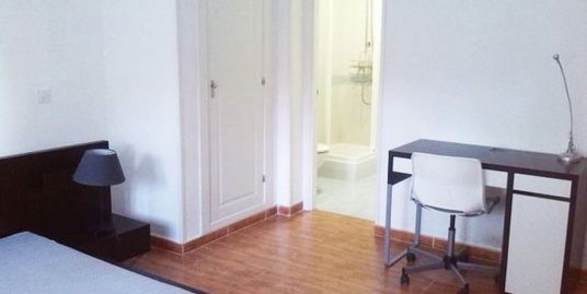 Diego de León 5室5卫大型投资房