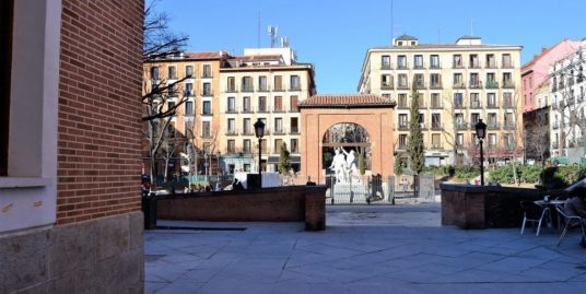 市中心Malasaña-Universidad高性价比2室1卫